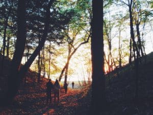 Köln: Spiritueller Abendspaziergang durch die Natur @ Parkplatz der Grillhütte am Hardtweiher