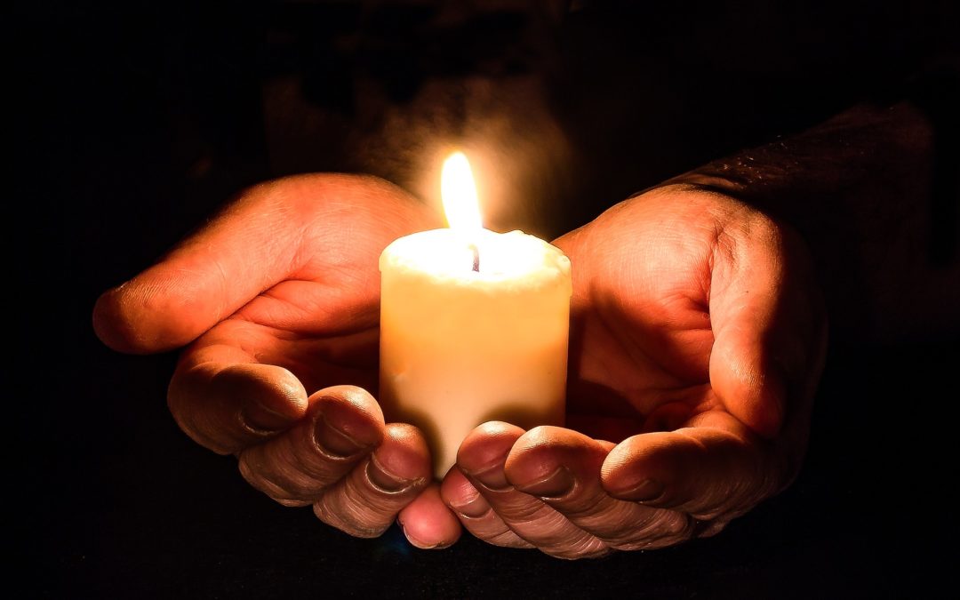 Pressemitteilung: Solidarität mit den Menschen in Neuseeland