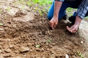 Köln: Stadtrundgang zu naturnah gestalteten Beeten an Kirchen @ Vor der erzbischöflichen Liturgieschule