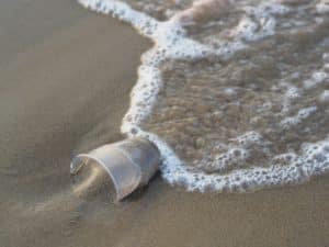 Darmstadt: gemeinsamer Filmabend - A Plastic Ocean @ Programmkino Rex