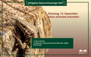 natur.achtsam.erkunden @ Haltestelle Borsdorffstraße, Straba 5