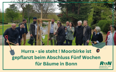 Pressemitteilung: Moorbirke für Frieden und Verständigung in Bonn gesetzt