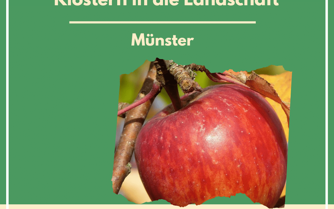 Münster: Streuobstwiesen – aus den Klöstern in die Landschaft