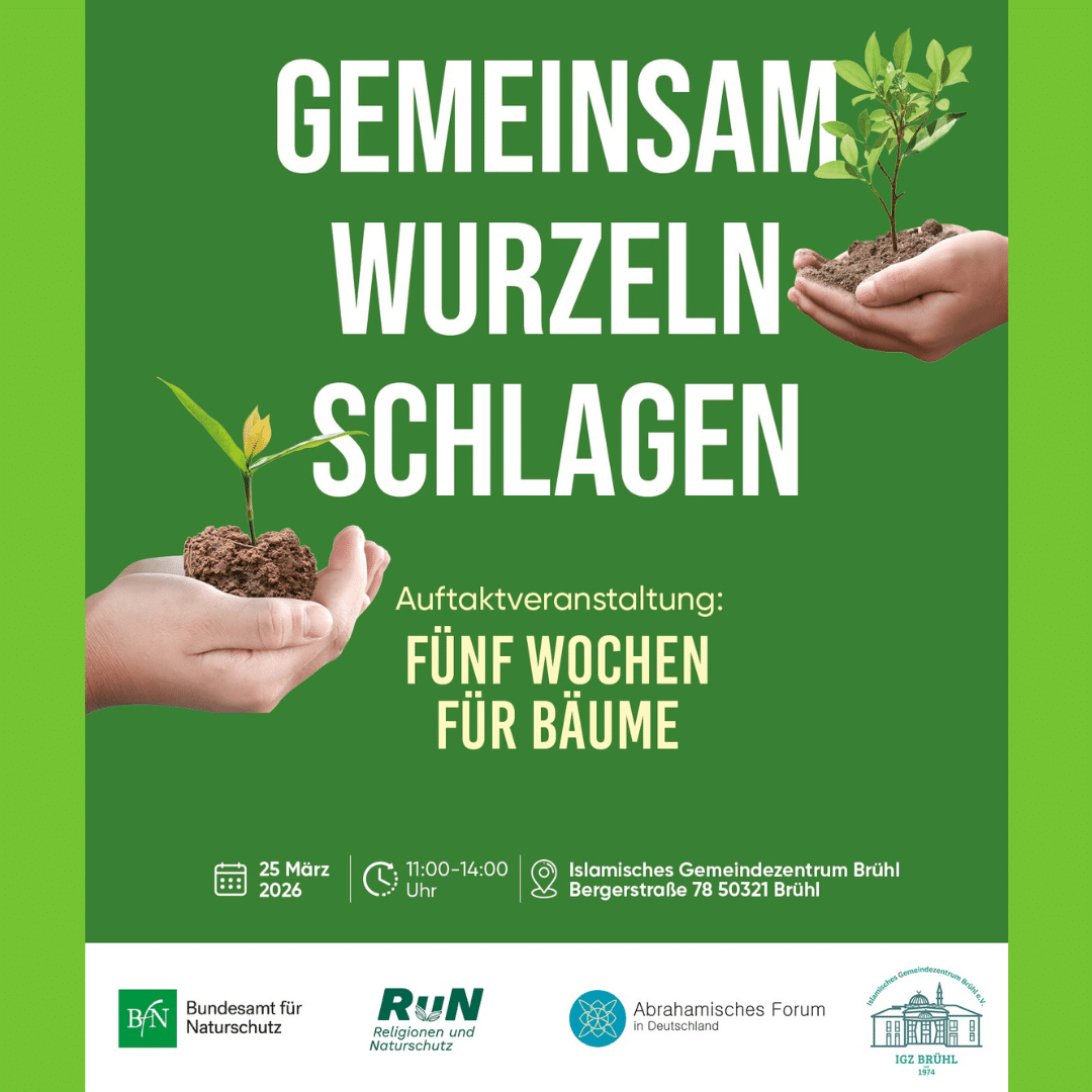 30 Mahagonibäume für das Abrahamische Forum gepflanzt