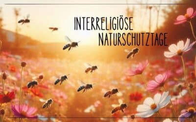 Newsletter: Auf zu den Interreligiösen Naturschutztagen !