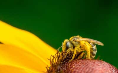 Newsletter: Unsere Veranstaltungen im Mai und Juni